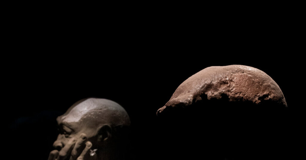 Dutch Return ‘Java Man’ Bones, With 40,000 Fossils Set to Follow