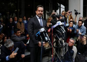 Reiner’s Son Appears, Briefly, Before a Judge