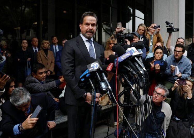 Reiner’s Son Appears, Briefly, Before a Judge