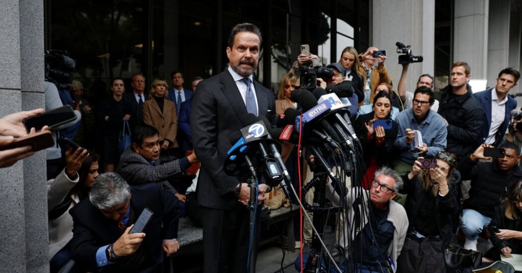 Reiner’s Son Appears, Briefly, Before a Judge