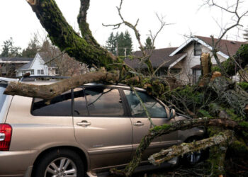 Storm Knocks Out Power for Hundreds of Thousands in the Pacific Northwest