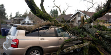 Storm Knocks Out Power for Hundreds of Thousands in the Pacific Northwest