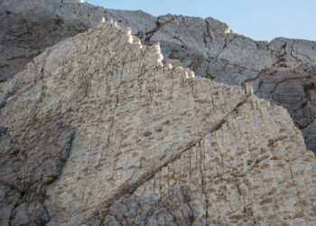 More Than 2,000 Dinosaur Footprints Are Found in the Italian Alps