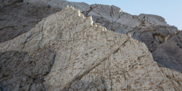 More Than 2,000 Dinosaur Footprints Are Found in the Italian Alps