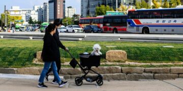 Birthrates Are Falling, but Don’t Blame Dogs in Strollers