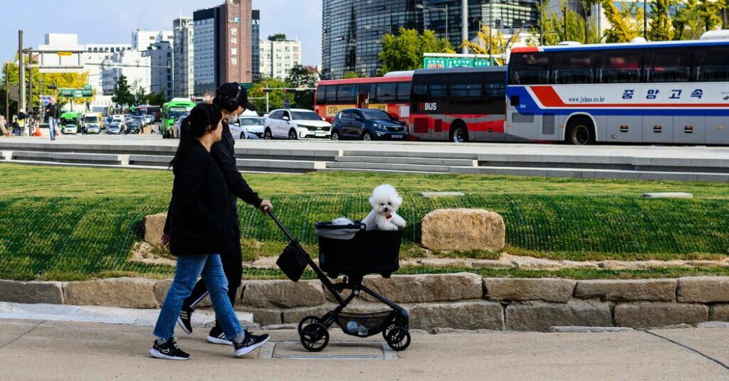 Birthrates Are Falling, but Don’t Blame Dogs in Strollers