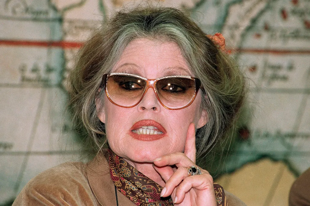 Brigitte Bardot attends a press conference in Brussels on April 15, 1992.