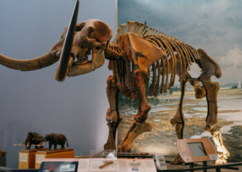 An Engine of Fossil Discovery Fights Its Own Extinction