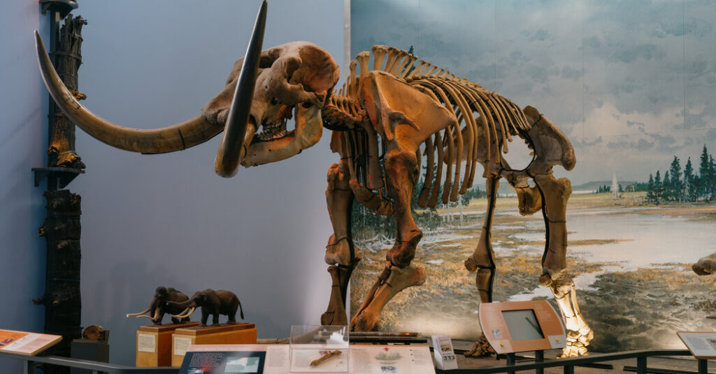 An Engine of Fossil Discovery Fights Its Own Extinction