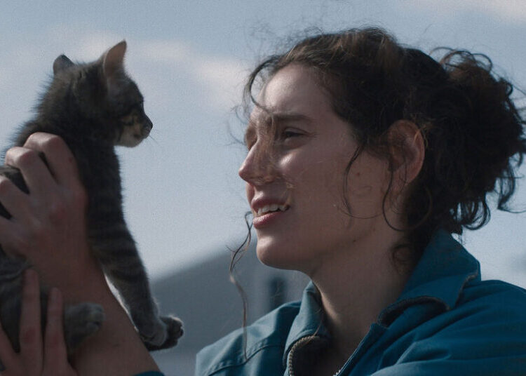 ‘Sorry, Baby,’ ‘Lurker’ and the Year’s Great Under-the-Radar Streaming Films