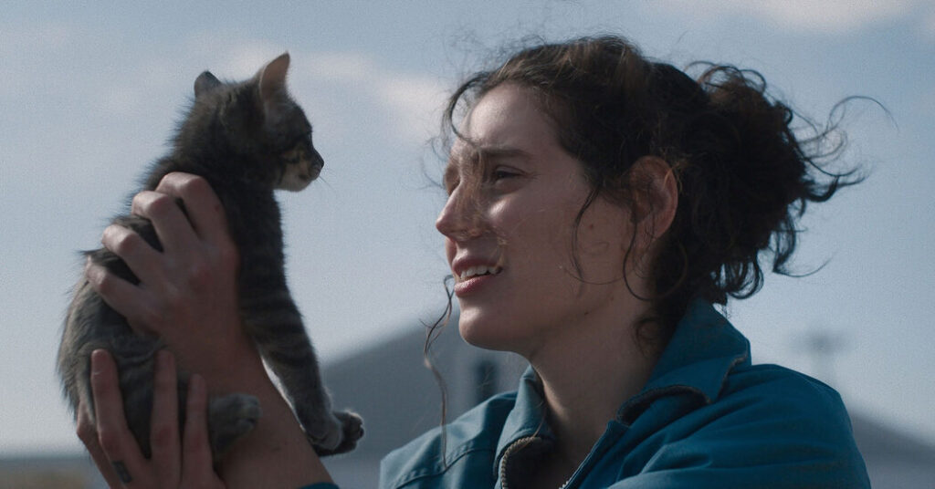 ‘Sorry, Baby,’ ‘Lurker’ and the Year’s Great Under-the-Radar Streaming Films