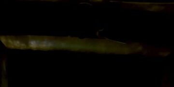 The Met’s ‘Magic Flute’ Courts Young Hearts (With a ‘6-7’ to Boot)