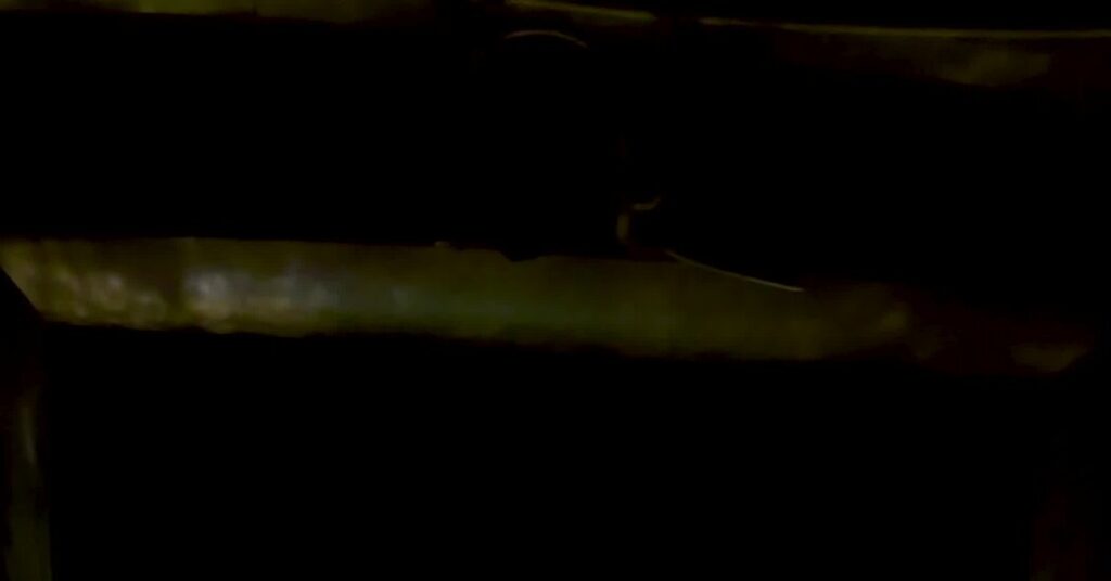 The Met’s ‘Magic Flute’ Courts Young Hearts (With a ‘6-7’ to Boot)