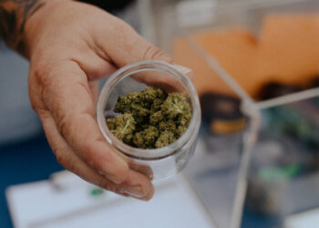 Why the New Cannabis Classification Matters