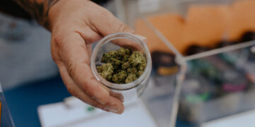 Why the New Cannabis Classification Matters