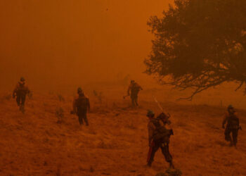 U.S. Will Pay $450,000 to Wildfire Fighters With Cancer