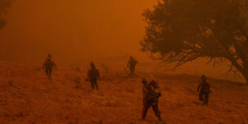 U.S. Will Pay $450,000 to Wildfire Fighters With Cancer