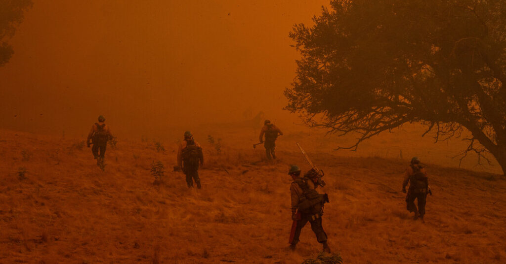 U.S. Will Pay $450,000 to Wildfire Fighters With Cancer