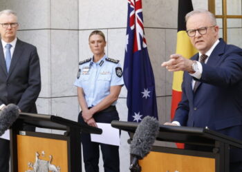 Australia Announces Plan to Buy Back Guns in Wake of Hanukkah Attack