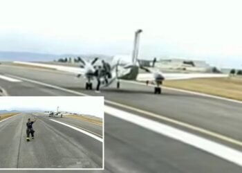 Small plane lands itself after mid-air emergency in first-ever use of automated aviation tech
