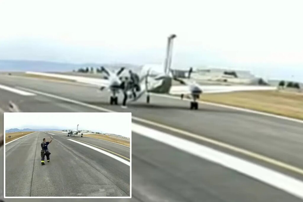 Small plane lands itself after mid-air emergency in first-ever use of automated aviation tech