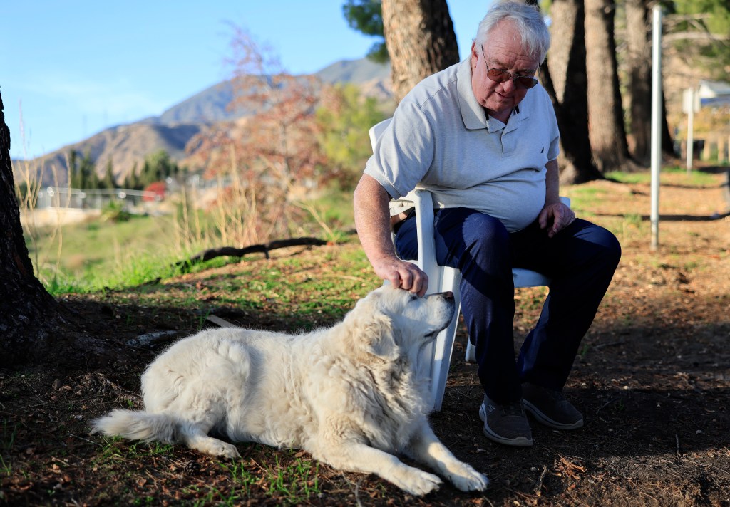 Ted Koerner sitting outside his home and petting his golden retriever, Daisy May, after recovering from devastating wildfires.