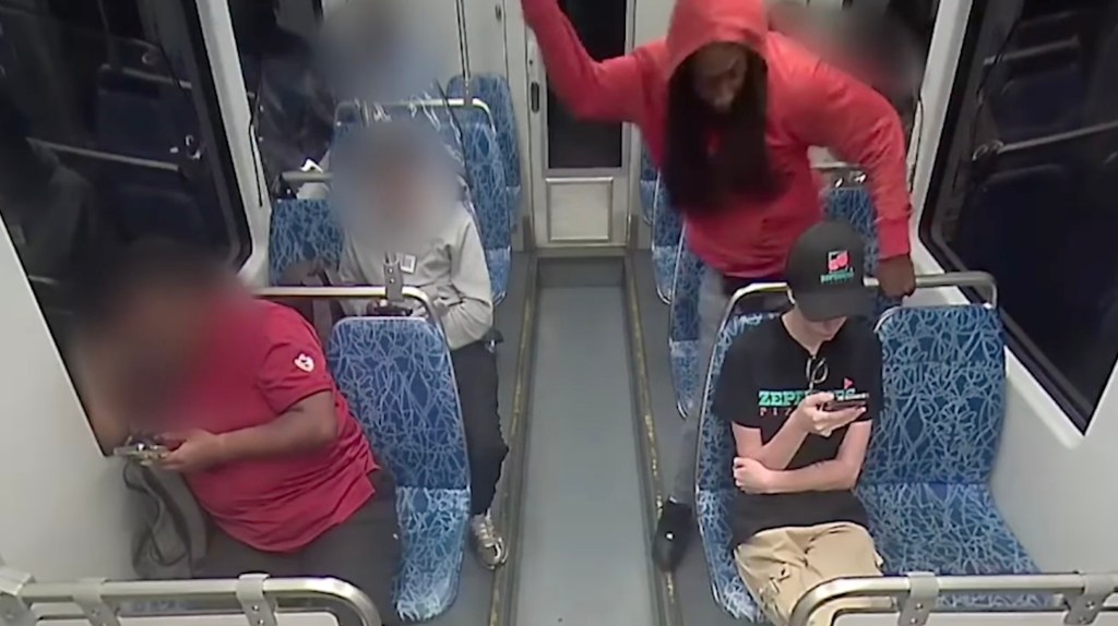 Surveillance video capturing Decarlos Brown Jr. fatally stabbing Iryna Zarutska on a light rail train.