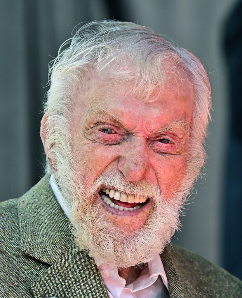 Dick Van Dyke attends the 