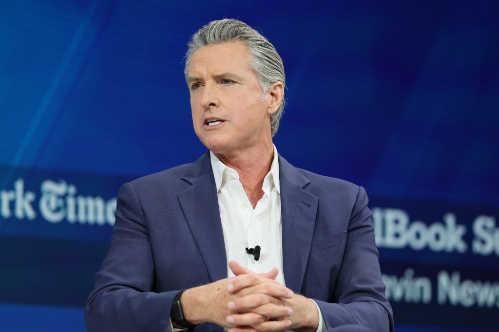 California Governor Gavin Newsom speaking at the New York Times Dealbook Summit.