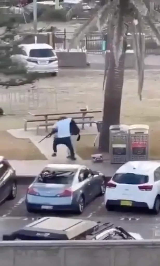 A man disarms a terrorist shooter on Bondi Beach.