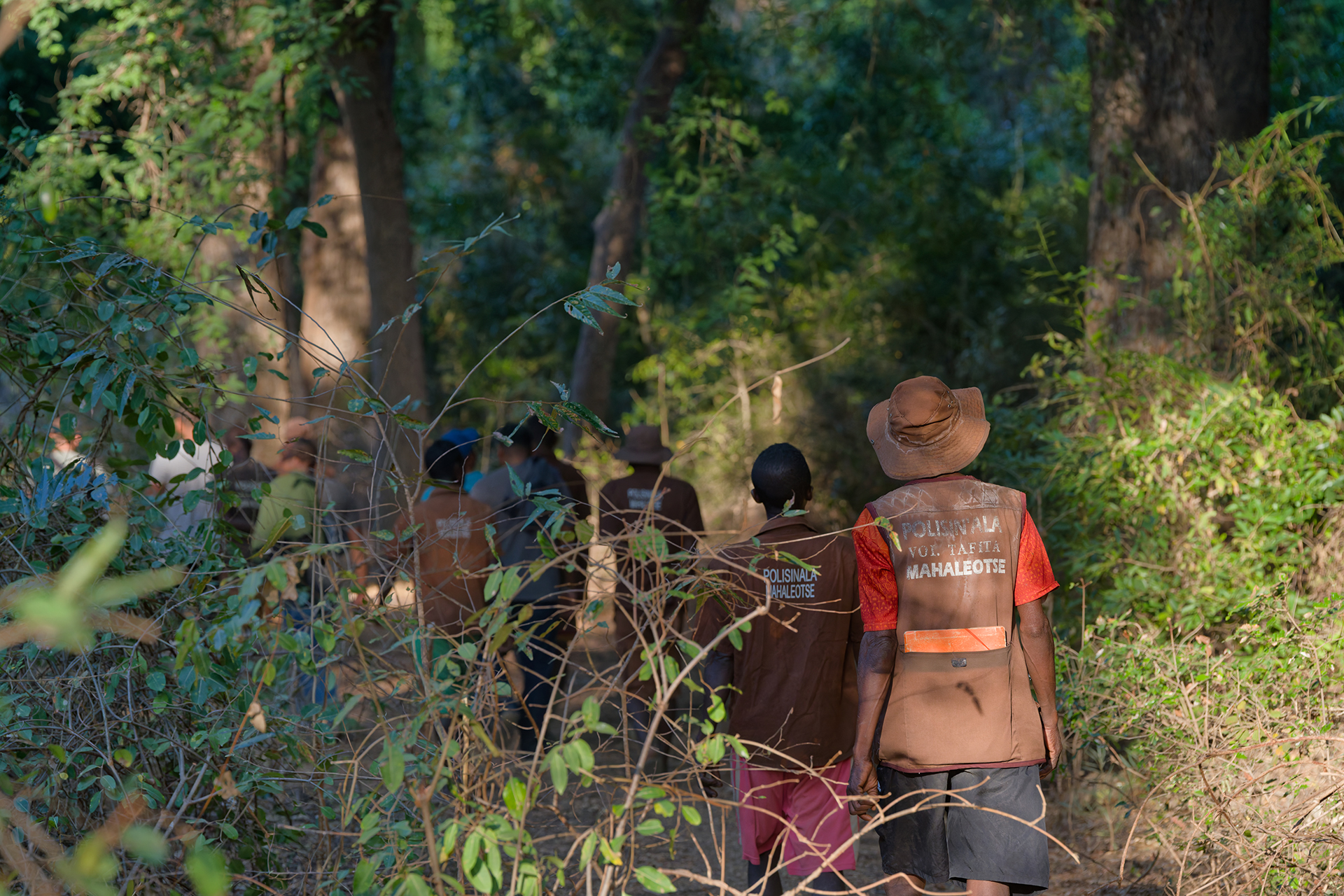 A group of men walk through the forest A group of men walk through the forest