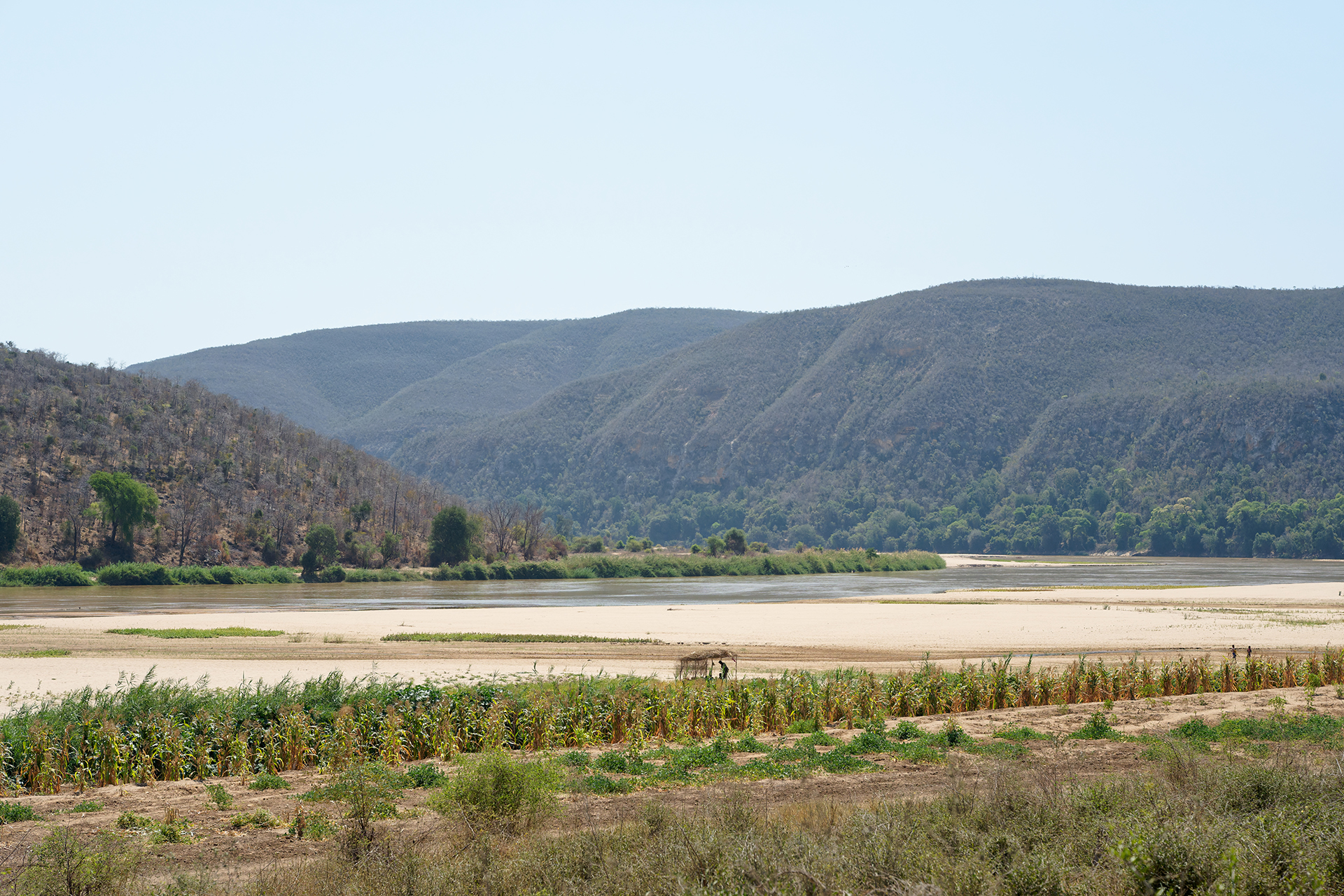 A landscape shot of cropland A landscape shot of cropland