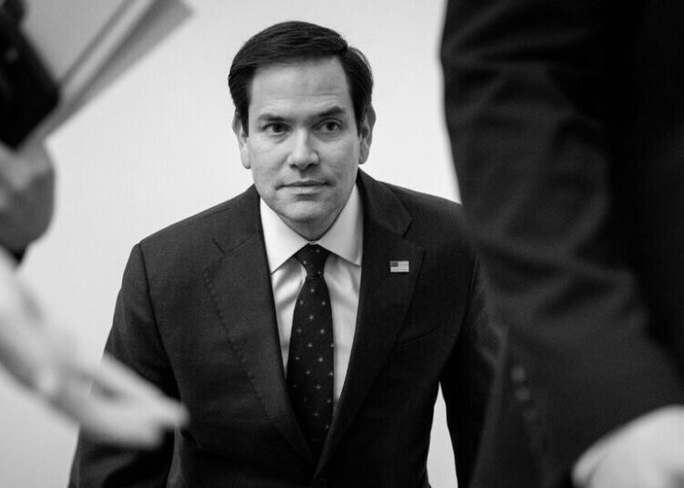 Marco Rubio Is Winning the Trump Era