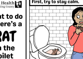 Toilet Rats: Rare, but There