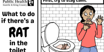 Toilet Rats: Rare, but There