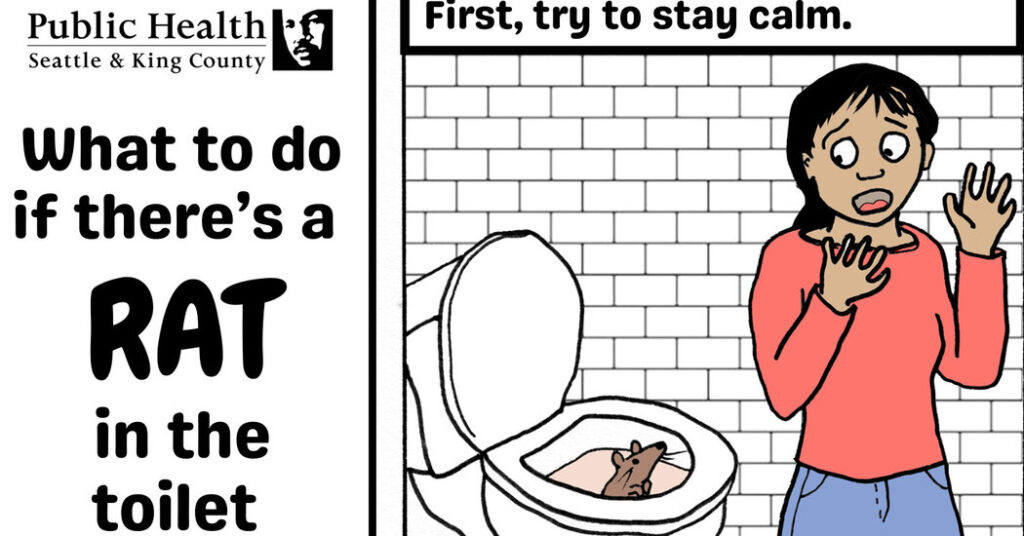 Toilet Rats: Rare, but There