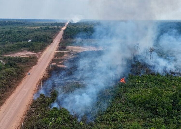 How Blocking Illegal ‘Ghost’ Roads Could Protect Tropical Forests