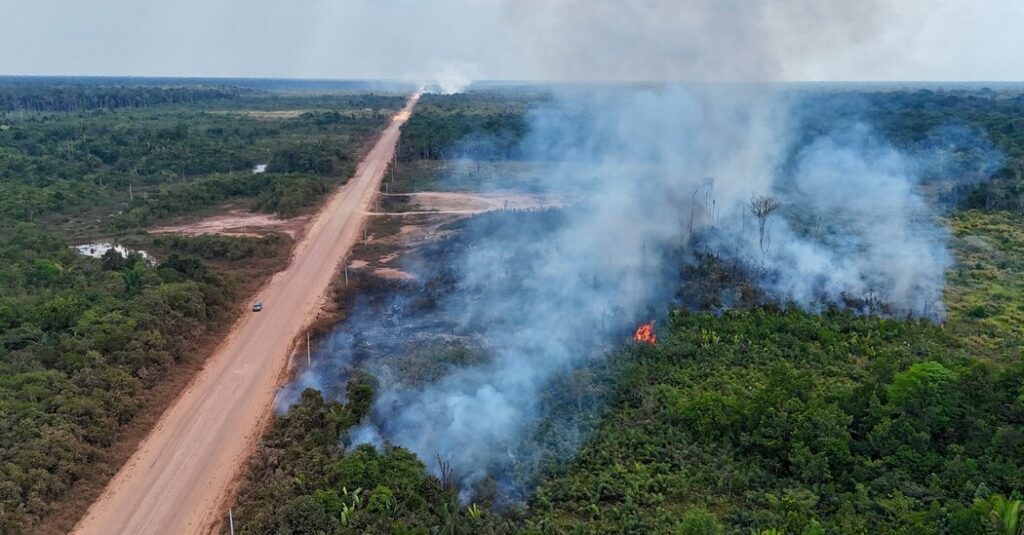 How Blocking Illegal ‘Ghost’ Roads Could Protect Tropical Forests