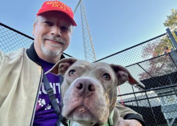 No holidays off: One man’s daily commitment to walking shelter dogs