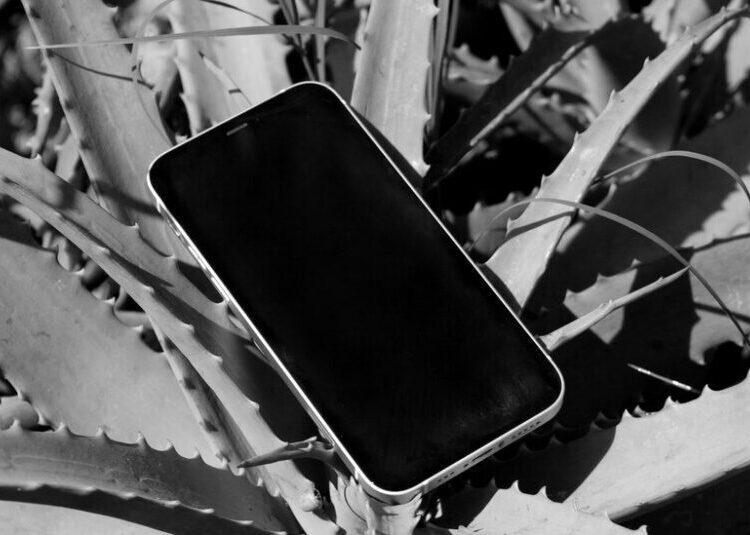 Trump’s TikTok Deal Won’t Protect National Security