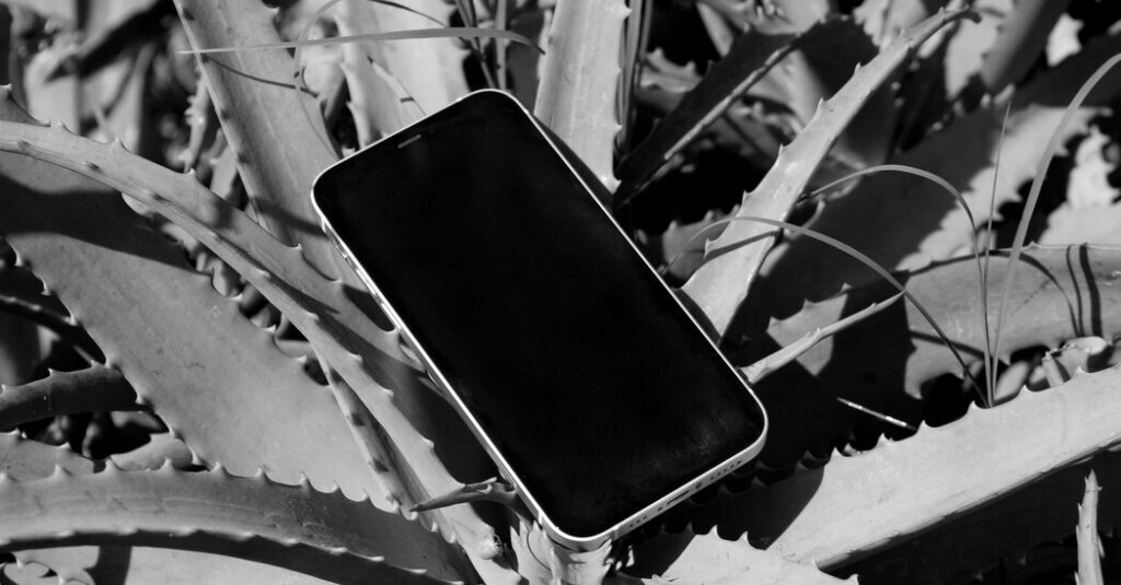 Trump’s TikTok Deal Won’t Protect National Security