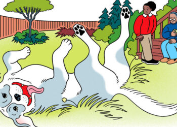 Shelters Won’t Let My Mother Adopt a Dog. Can I Pretend It’s for Me?