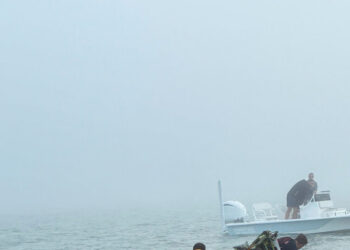 After a Plane Crashed in the Texas Fog, 2 Stories of Rescue