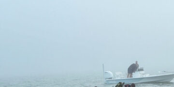 After a Plane Crashed in the Texas Fog, 2 Stories of Rescue