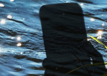 I Killed Color on My Phone. The Result Shocked Me.