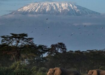 Helicopter Crash Kills 5 on Kilimanjaro, Africa’s Highest Peak