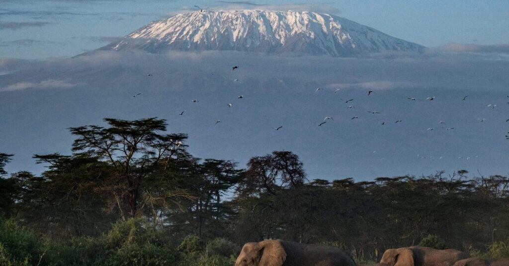 Helicopter Crash Kills 5 on Kilimanjaro, Africa’s Highest Peak