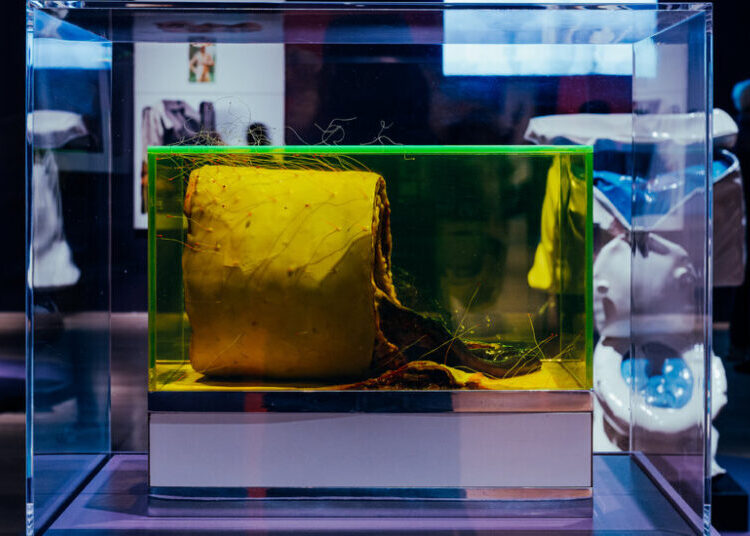 Turn On, Tune In … Cop Out? ‘Sixties Surreal’ Teases at the Whitney.