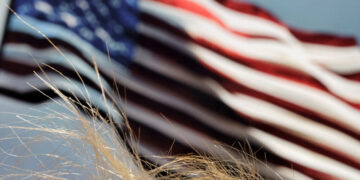 Sick of Trump News? I’m Here for You.