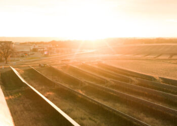 In Which I Try Valiantly to Cheer You Up